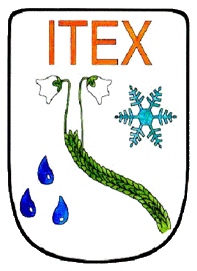 ITEX logo Color GIF